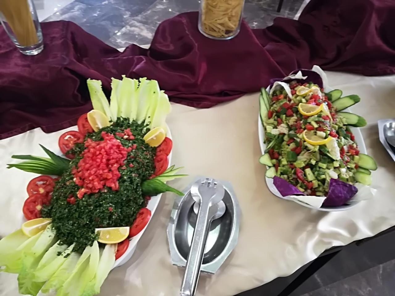 Darin Plaza Hotel Arbil Eksteriør billede